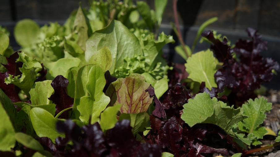 Why You Need to Be Alkaline!