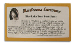 Heirlooms Evermore Blue Lake Bush Bean Seeds - 150 seeds