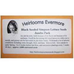 Heirlooms Evermore Black Seeded Simpson Lettuce Seeds - 3,000 seeds