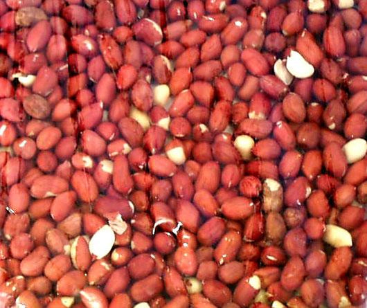 Bulk Peanuts, Raw, Valencia, Domestic - 30 lbs.