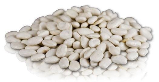 Bulk Great Northern Beans - 25 lbs.