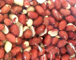 Bulk Peanuts Raw Valencia Domestic Organic - 30 lbs.