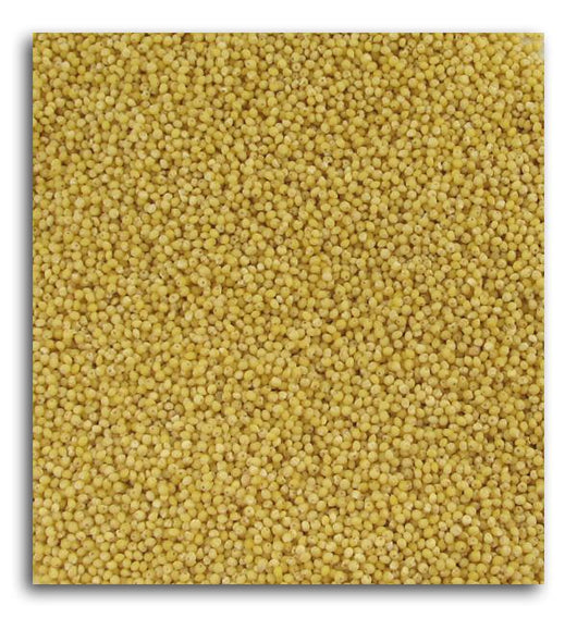 Montana Milling Millet Dehulled Organic - 25 lbs.