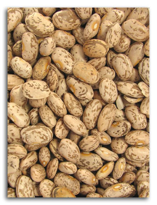 Azure Farm Pinto Beans Organic - 25 lbs.