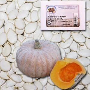 Azure Husbandry Australian Butter Squash Seed, Organic - 25 seeds