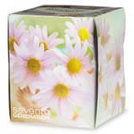 Seventh Generation Facial Tissues (100% Recycled) White 2-ply 85 ct