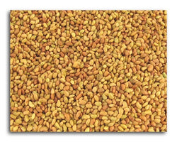 Bulk Alfalfa Seeds Organic - 2 lbs.