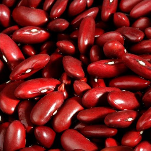 Bulk Kidney Beans, Organic - 25 lbs.