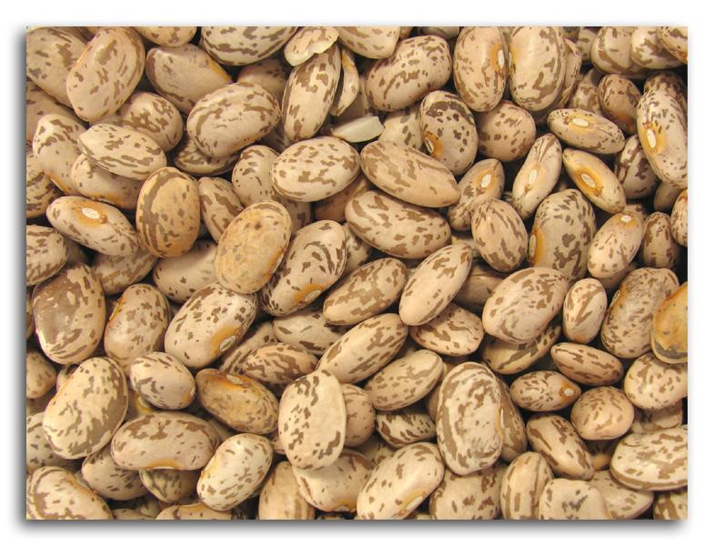 Buy Bulk Pinto Beans 25 lbs. Health Foods Stores Organic Food