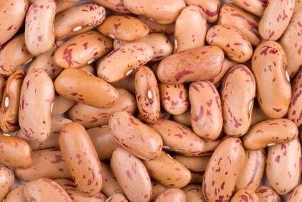 Bulk Pinto Beans - 100 lbs.