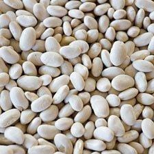 Bulk White Beans, Small Navy - 5 lbs.
