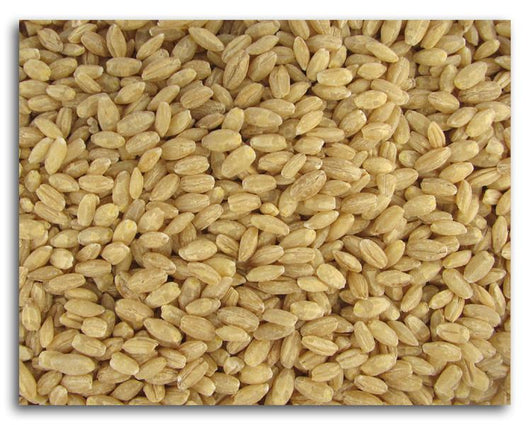 Azure Farm Barley Hulled Organic - 5 lbs.