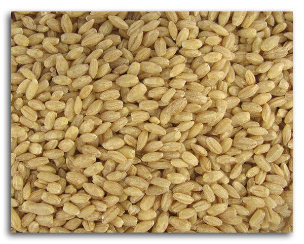 Azure Farm Barley Hulled Organic - 5 lbs.