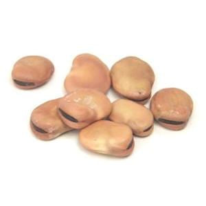 Azure Farm Fava Beans, Organic - 35 ozs.