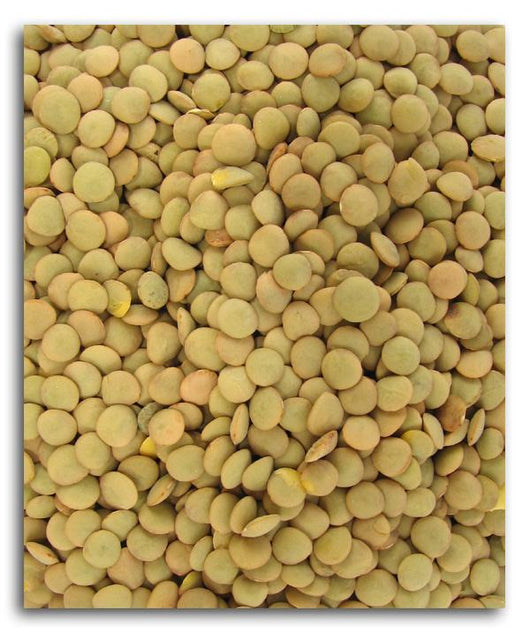 Bulk Lentils - 25 lbs.