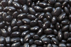 Bulk Black Turtle Beans - 5 lbs.