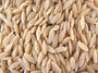 Gardentime Orzo Whole Wheat Organic - 2.5 lbs.