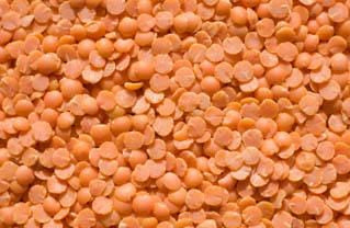 Bulk Lentils (red) - 25 lbs.