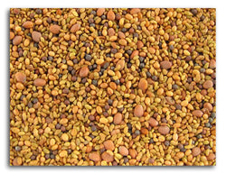 Bulk Sprouting Seed Mix - 2 lbs.