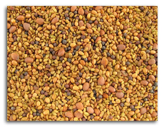 Bulk Sprouting Seed Mix - 5 lbs.