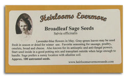 Heirlooms Evermore Broadleaf Sage Seeds - 100 seeds