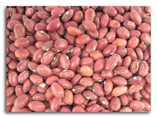 SAC Farms Red Beans Small Organic - 25 lbs.