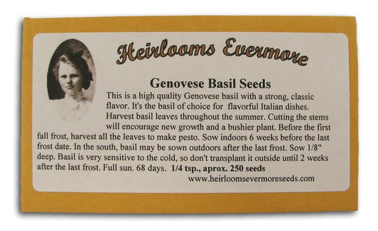 Heirlooms Evermore Genovese Basil Seeds - 1/4 tsp.
