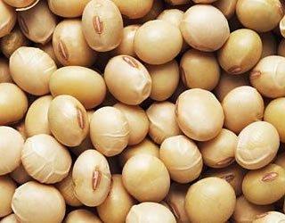 Bulk Soy Beans, Organic - 25 lbs.