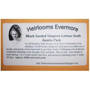 Heirlooms Evermore Black Seeded Simpson Lettuce Seeds - 3,000 seeds