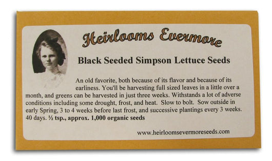 Heirlooms Evermore Black Seeded Simpson Lettuce Seeds - 1/2 tsp.