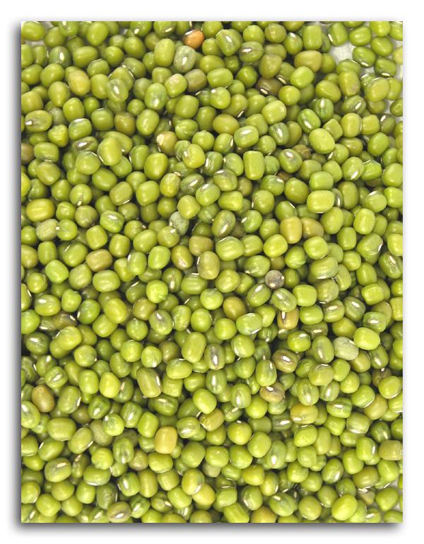 Buy Bulk Mung Beans Organic 25 lbs. Health Foods Stores Organic