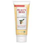 Burt's Bees Rich & Replenishing Cocoa & Capuacu Butter Body Lotion 6 oz