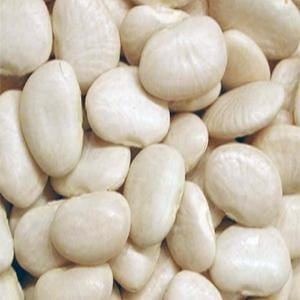 Azure Farm Small Lima Beans, Organic - 25 lbs