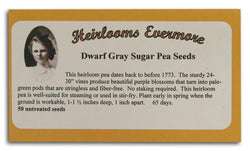 Heirlooms Evermore Dwarf Gray Sugar Pea Seeds Flower - 50 seeds