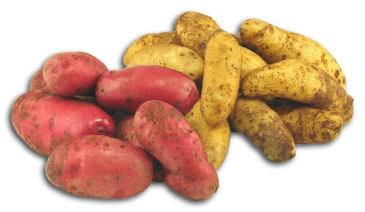 Fresh Produce Potato Fingerling - 5 lbs.