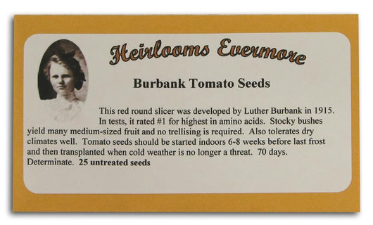 Heirlooms Evermore Burbank Tomato Seeds - 25 seeds