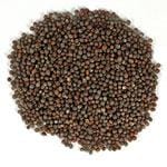 Frontier Bulk Mustard Seed Brown Whole 1 lb.