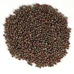 Frontier Bulk Mustard Seed Brown Whole Organic 1 lb.