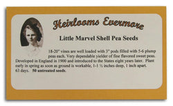 Heirlooms Evermore Little Marvel Shell Pea Seeds - 50 seeds