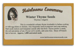 Heirlooms Evermore Winter Thyme Seeds - 1000 seeds