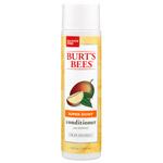 Burt's Bees Hair Care Super Shiny Mango Conditioner 10 fl. oz.