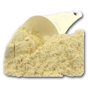 Bulk Garbanzo & Fava Flour - 5 lbs.