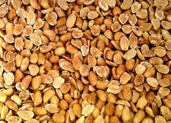 Bulk Peanuts Roasted Salted Domestic - 2 lbs.