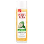 Burt's Bees Hair Care More Moisture Baobab Conditioner 10 fl. oz.