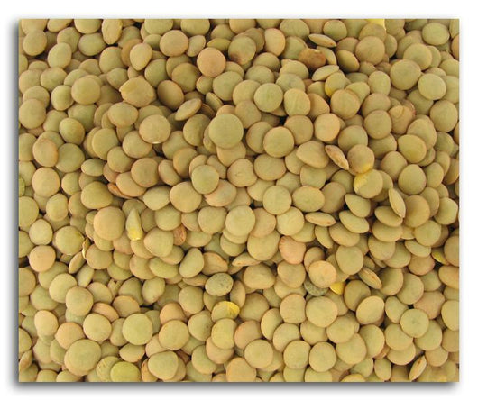 Bulk Lentils Green Organic - 25 lbs.
