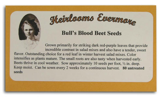 Heirlooms Evermore Bull's Blood Beet Seeds - 80 seeds