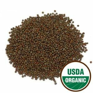 Starwest Broccoli Sprouting Seeds, Organic - 1 lb.