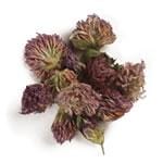 Frontier Bulk Red Clover Blossoms Organic 1 lb.