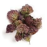 Frontier Bulk Red Clover Blossoms Whole 1 lb.