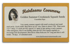 Heirlooms Evermore Golden Summer Crookneck Squash Seeds - 25 seeds